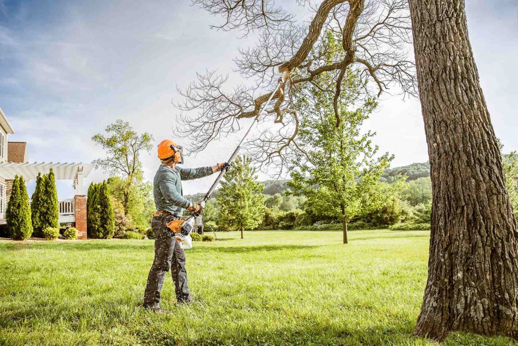 Arborist In Kc ⋆ Tree Trimming